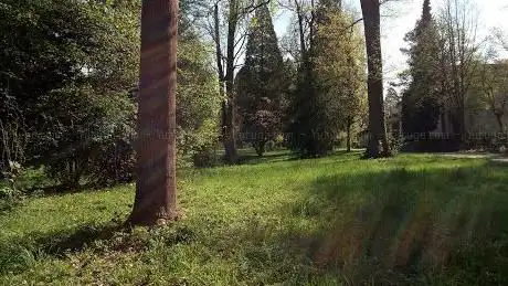 Photo de Büel Park