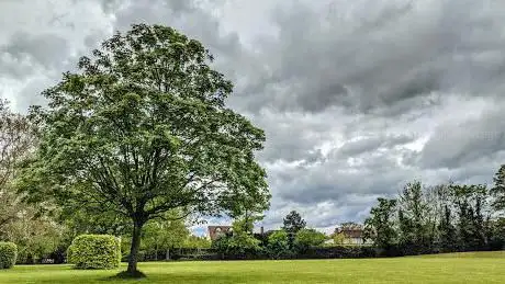 Photo de St. Albans road east recreation ground