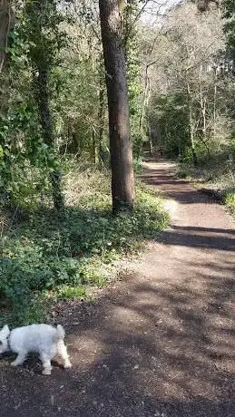 Photo de Pug's Hole -Natural Reserve area