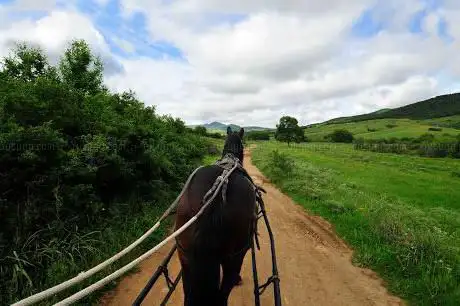 Photo de asd Natura e Cavallo