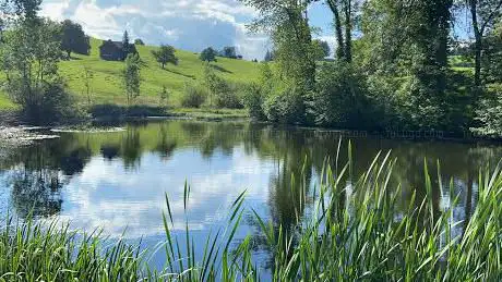 Photo de Saumweiher