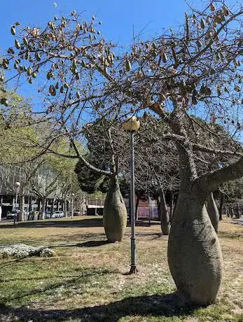 Photo de Jardins de Walter Benjamin