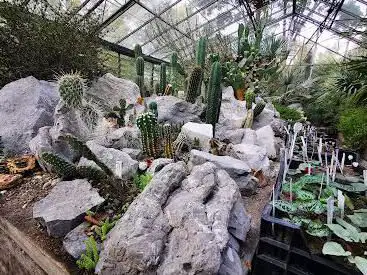 Hortus Botanicus Vrije Universiteit Amsterdam