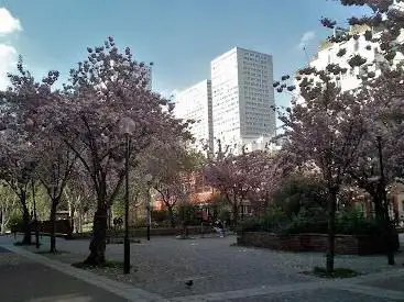 Photo de Jardin Baudricourt