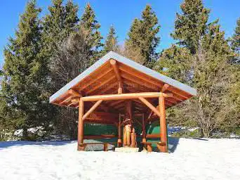 Photo de Sapin à Siméon