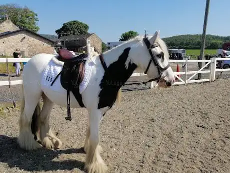 Photo de Maelor Equestrian Centre