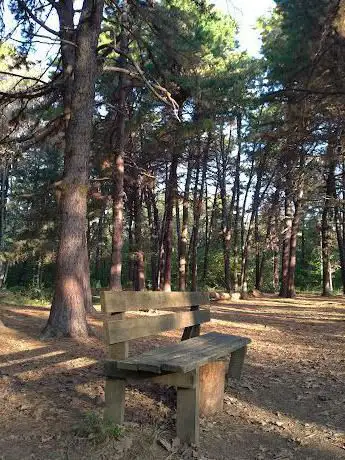 Photo de Parco delle Groane e della Brughiera Briantea (ingresso via Varese Meda)