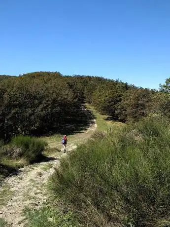 Photo de Riserva naturale Sasso Fratino