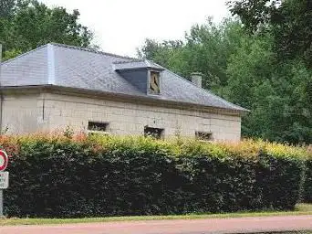 Photo de Nurserie des chauves-souris