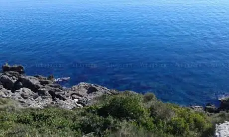 Balneum