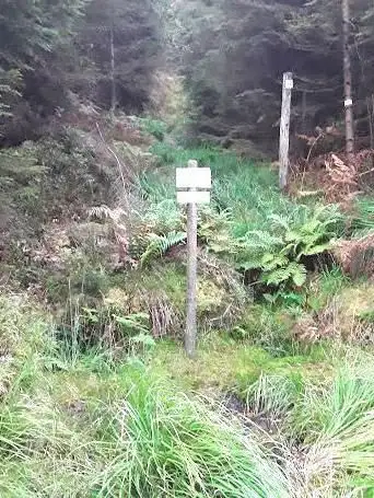 Source De La Sarre Rouge