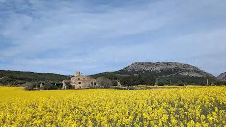 Photo de Torre Quintaneta