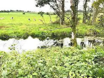 Canal de Bernistap
