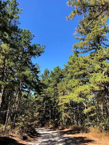 Photo de Wharton State Forest