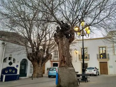 Photo de Plaza Del Mercado