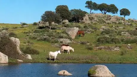 Photo de Humedal de la Cigüeña