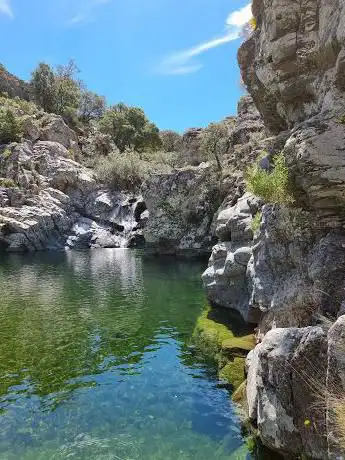 Piscina de lecci