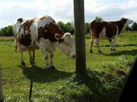 Photo de Consorzio Agrario delle province del Nord Ovest