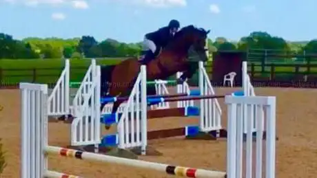 Photo de L H Equestrian York