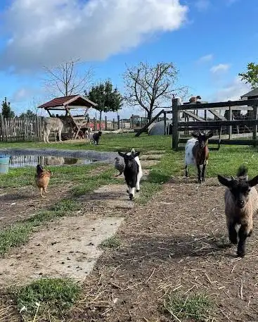 'OnzenOf' Natuureducatie