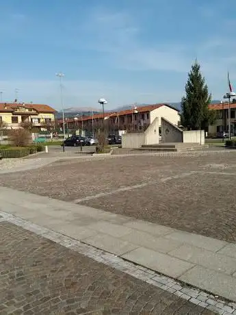 Albero storico di navedano