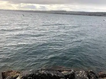 Public Swimming