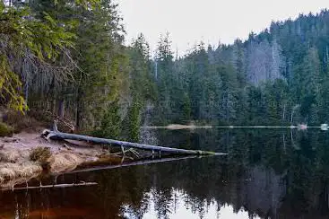 Photo de Steilpfad zum Wilden See