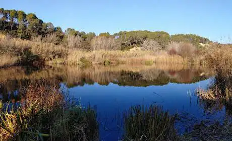 Photo de Aiguamolls del Molà Vermell - Humedales del Molino Rojo