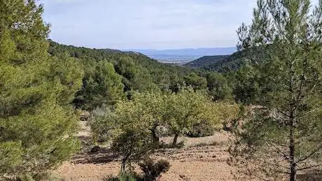 Photo de Coll de Sentig