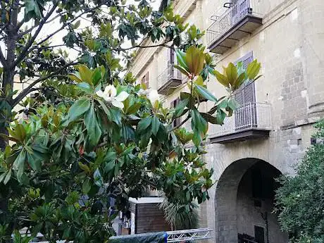 Photo de Palazzo De Falco