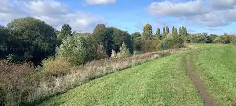 Clifton Ings