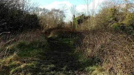 Photo de Tunnel Gardens