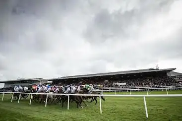 Photo de Punchestown Racecourse