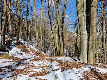 Rückhaltebecken Enkenbach