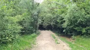 Kabouterbos