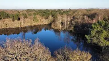 Photo de Landes De Bilais