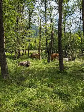 Pista ciclopedonale Comunità Montana Valli del Verbano