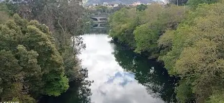 Paseo Fluvial De Pontevedra
