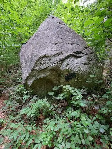 Lengnau Wurzelweg