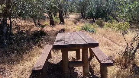 Photo de Fonte de Vale do Gral