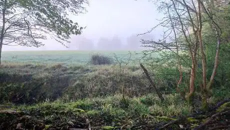 Photo de Edolph's Copse