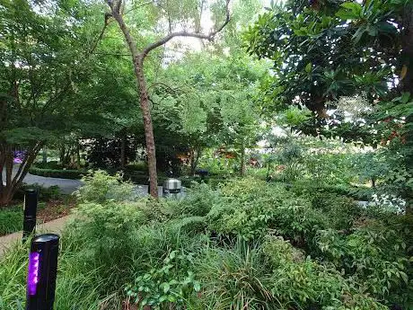 Photo de Canary Wharf Roof Garden