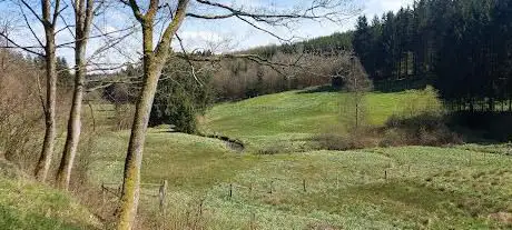 Photo de Röppervenn (Narzissenblüte)