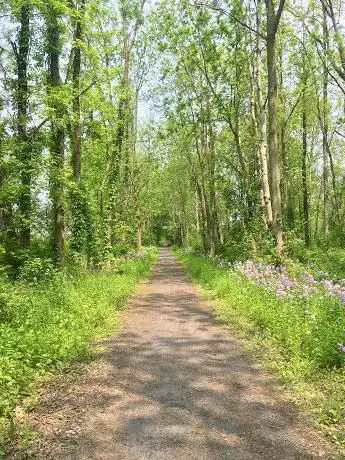 Photo de Bishop Nature Preserve
