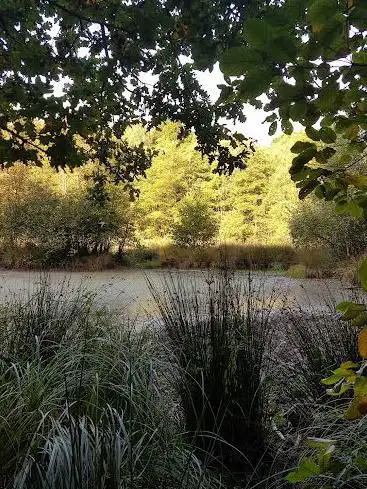 Photo de Breitsee Nature Reserve