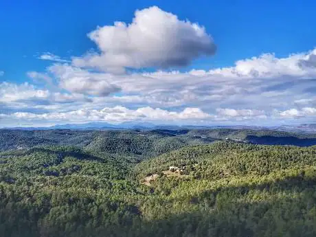Mont rodó