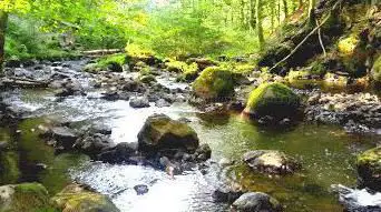 Strohner Schweiz