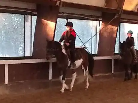 Photo de Cir