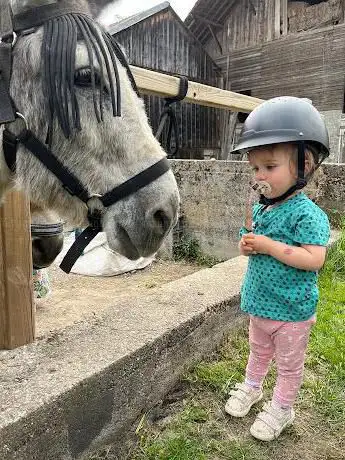 La Ferme des Genti'Ânes