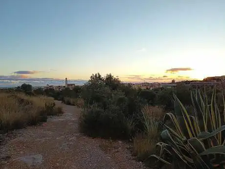 Photo de MolÃ­ de la Palma